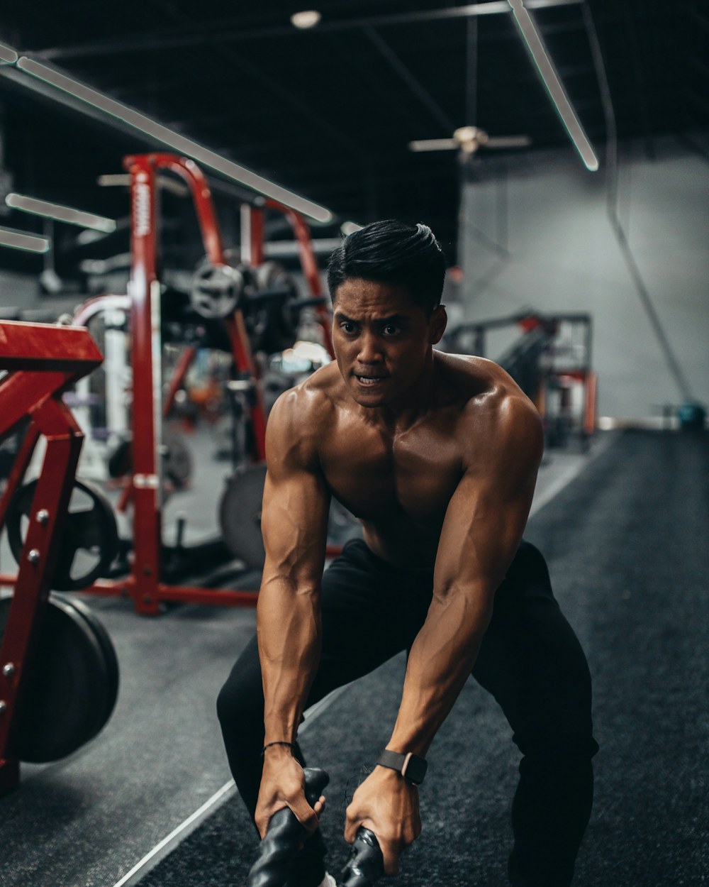 Life in the gym — image 8
